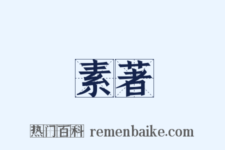 素著是什么意思的图片